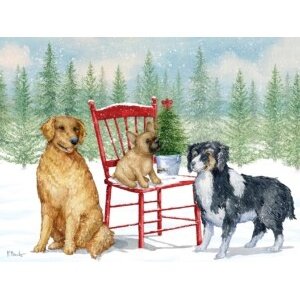 25574 Holiday Dog Chair Horizontal
