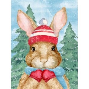 25579 Snow Bunny Vertical