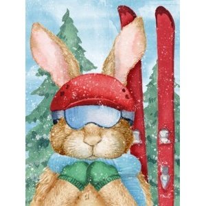 25580 Ski Bunny Vertical