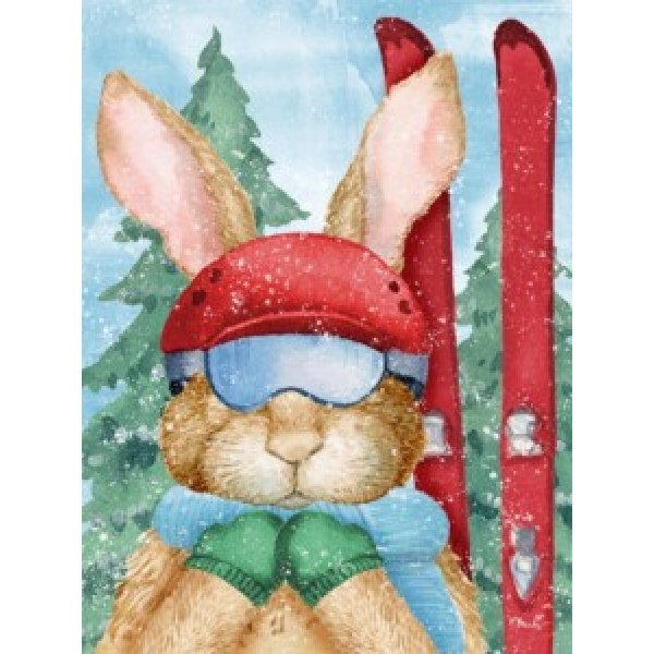 25580 Ski Bunny Vertical
