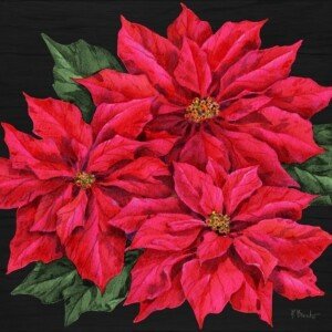 25585 Poinsettia Trio