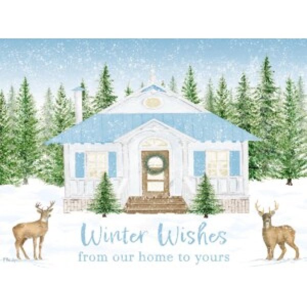 25587 Winter Home Horizontal