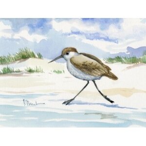 24150 Inlet Beach Sandpiper Running