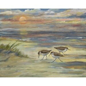 25078 Sunset Sandpipers