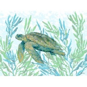 25630 Tasman Turtle II