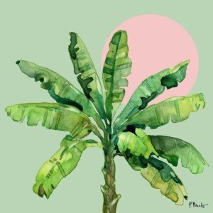 26567 Sun Palm Trees IV