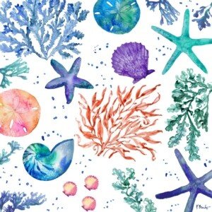 25538 Tampico Shells Toss