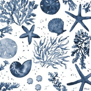 25538A Tampico Shells Toss - Indigo