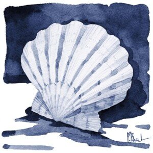 26555 Shaded Shell I