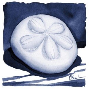 26557 Shaded Shell III