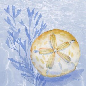 26579 Drift Shells III