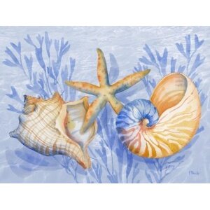 26591 Drift Shells Horizontal