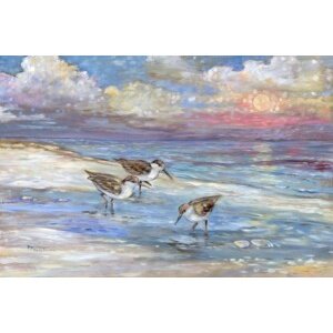 25094 Impressions of Sandpipers II