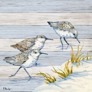 26603 Teak Shorebird III