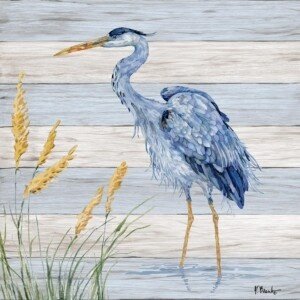 26604 Teak Shorebird IV