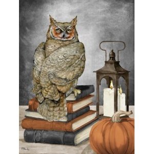 26635 Autumn Books and Owl