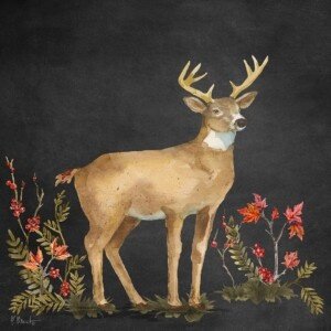 26631 Autumn Foliage Deer