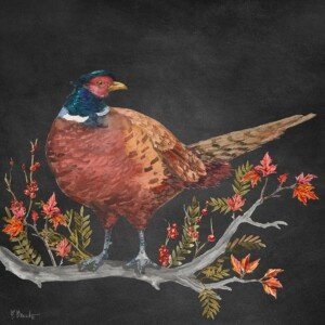 26633 Autumn Foliage Pheasant