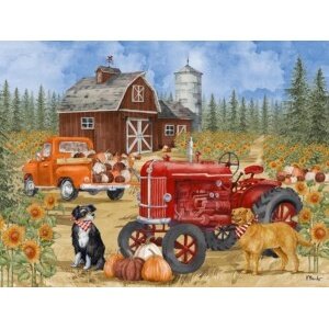 26643 Autumn Village Farm